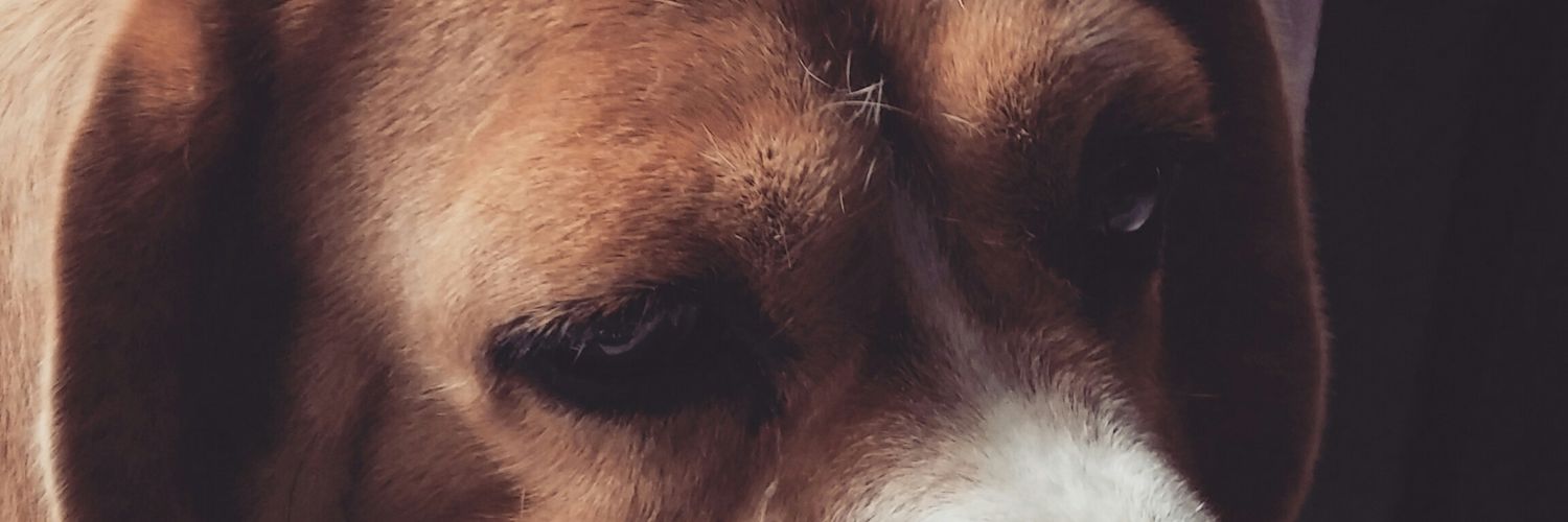 ReynerBD's profile banner image