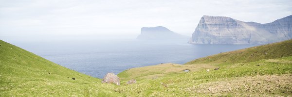 juliabocchese Profile Banner