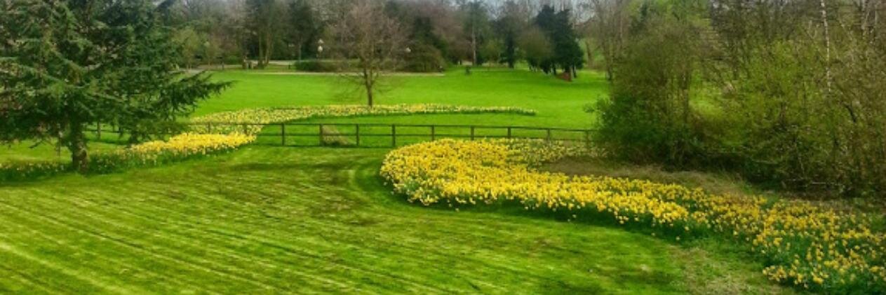 Brenda Poller banner