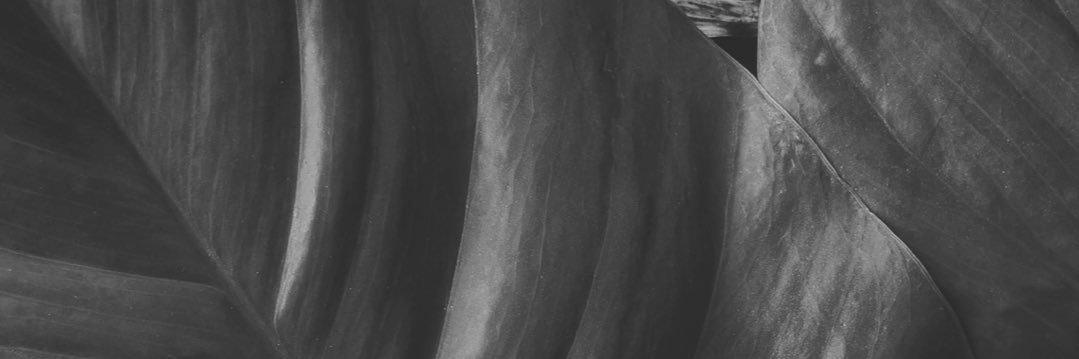 Natalia Jiménez-Dermatóloga banner