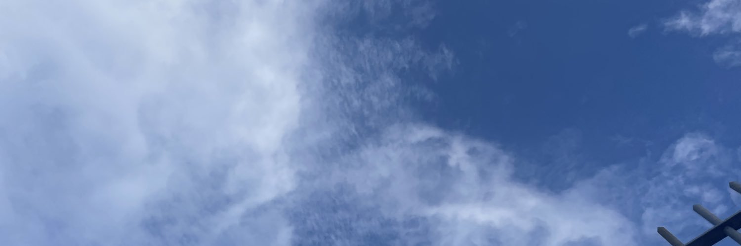 Nisha__Mal's profile banner image