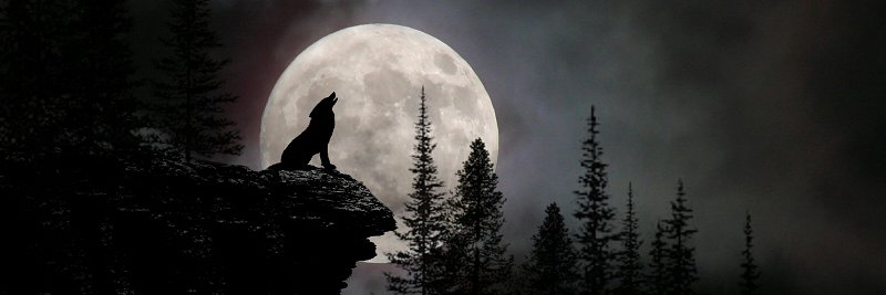 dobropp's profile banner image