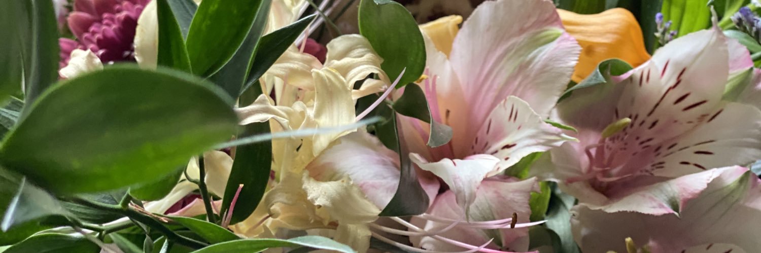 たらちねジョン banner