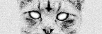 tatliitug's profile banner image