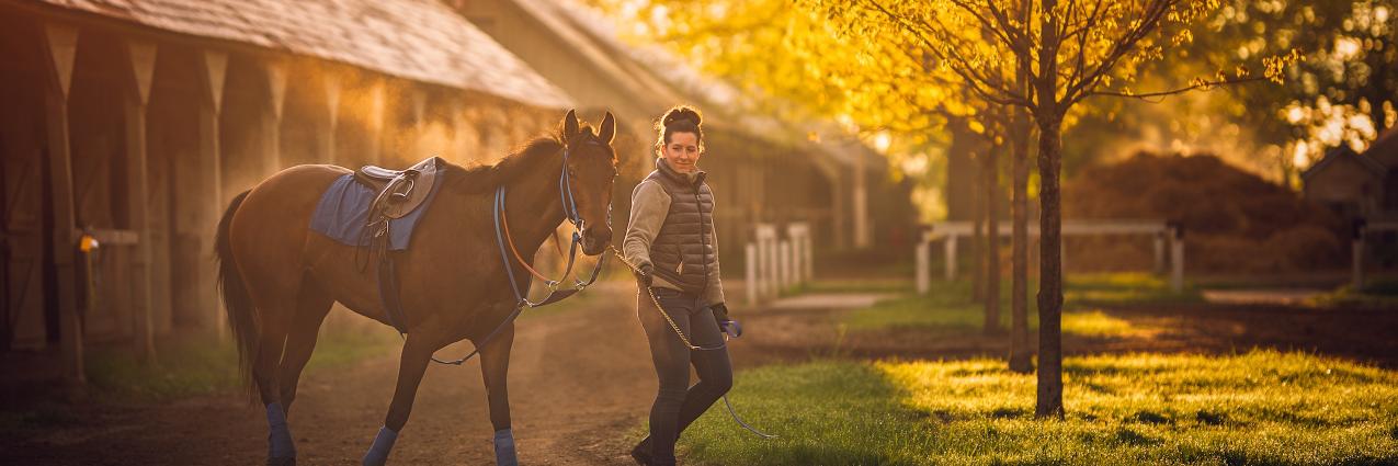 Backstretch Employee Service Team of NY (BEST) banner