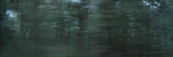 AleziaP Profile Banner