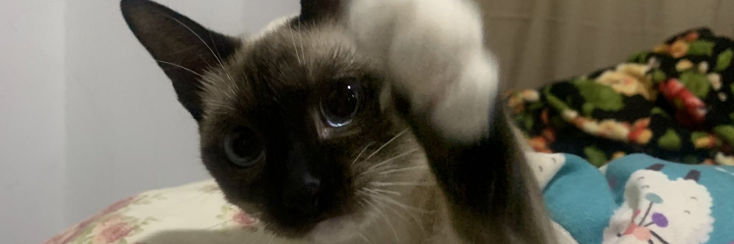 mandifortuns's profile banner image
