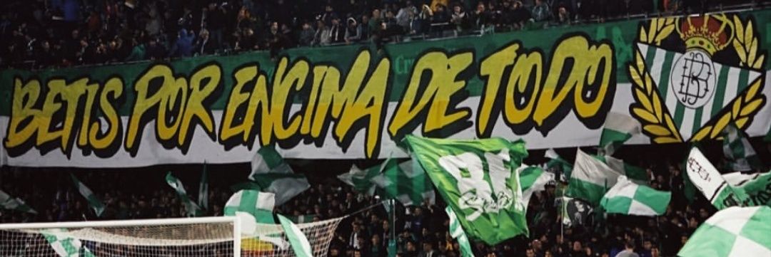 GreenWhiteBeer's profile banner image