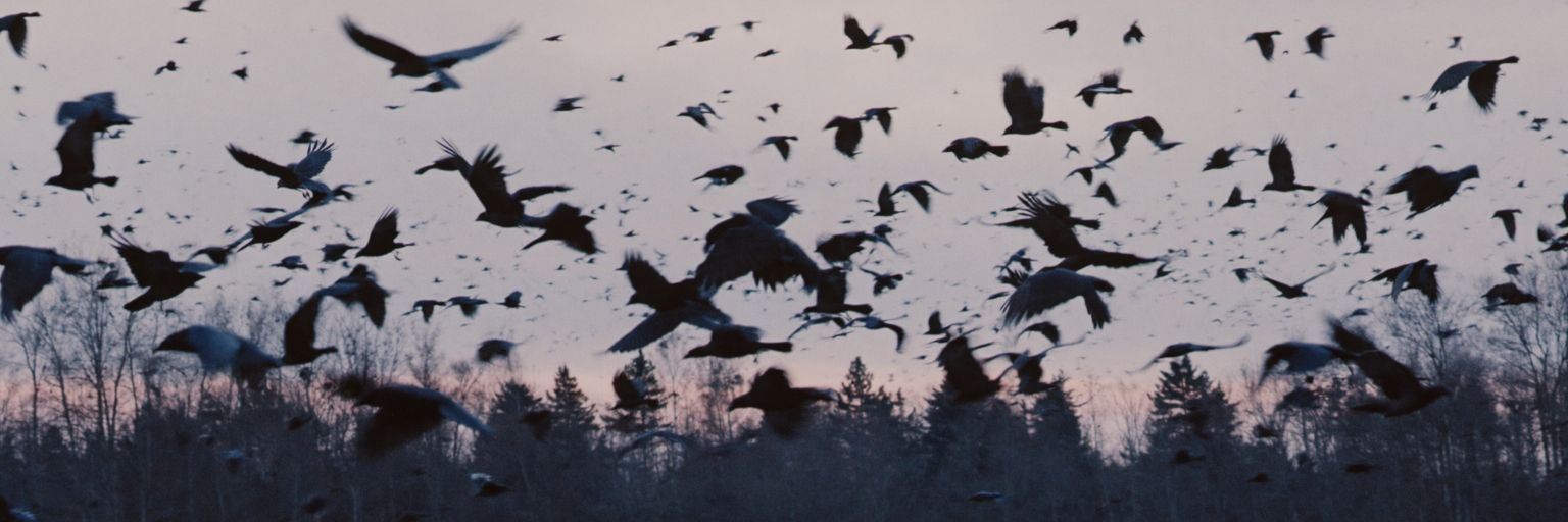 patchyworn's profile banner image