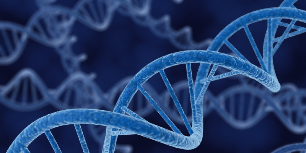 BereMolecular's profile banner image