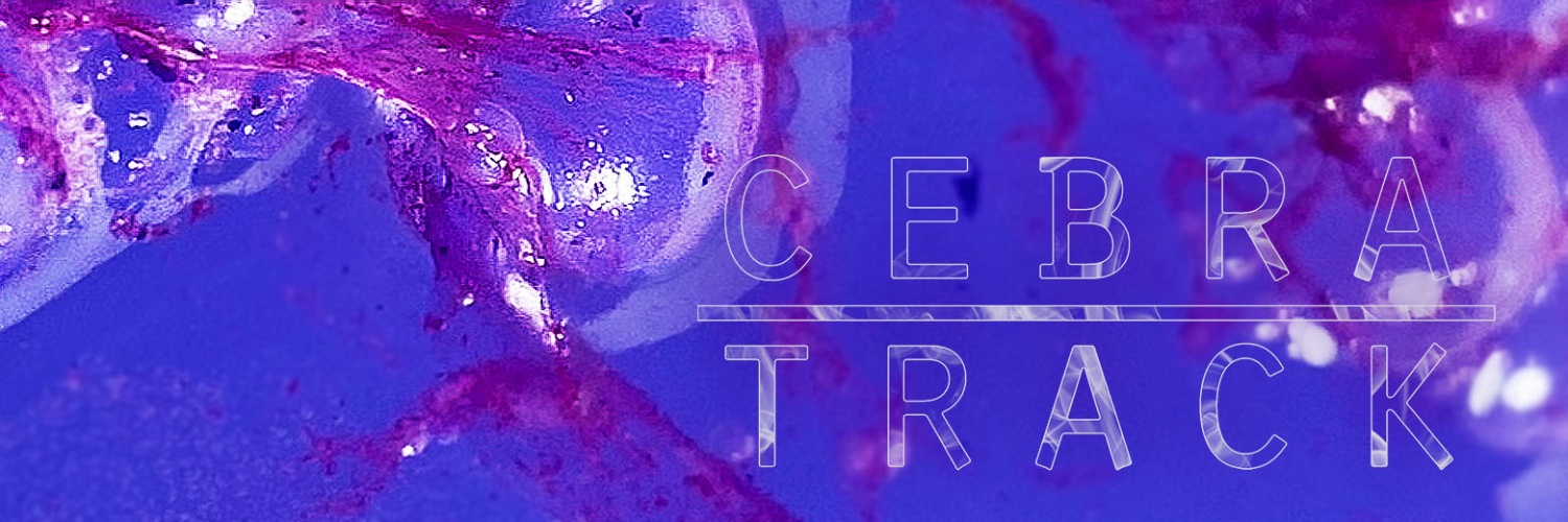 Cebratrack banner