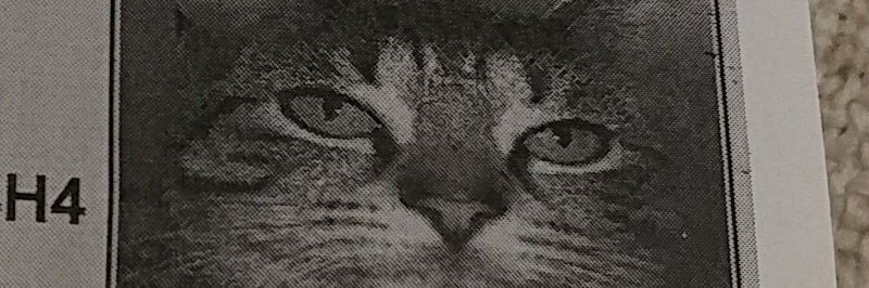 Chike_Sid's profile banner image