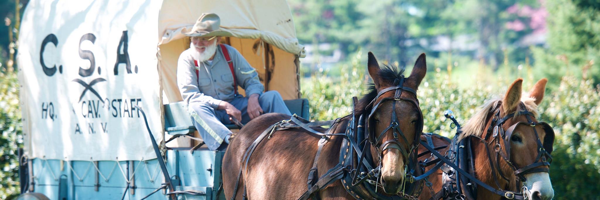 carrollcounty's profile banner image