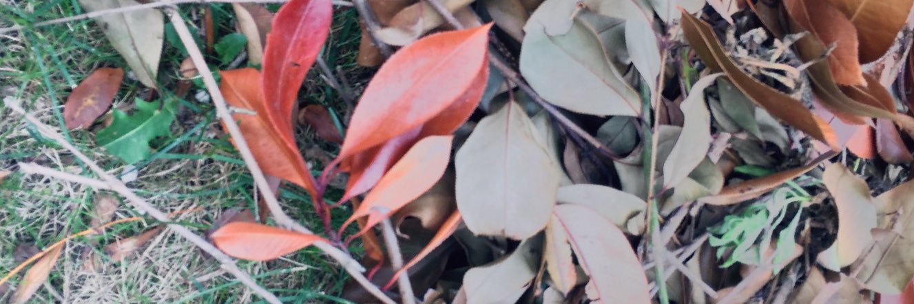 pinargunall's profile banner image