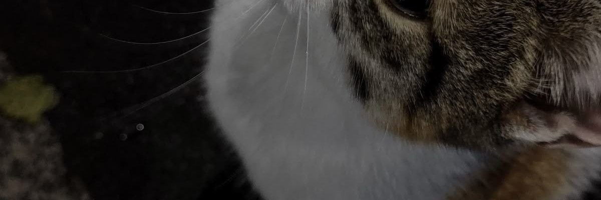 Ehateshamoddin's profile banner image