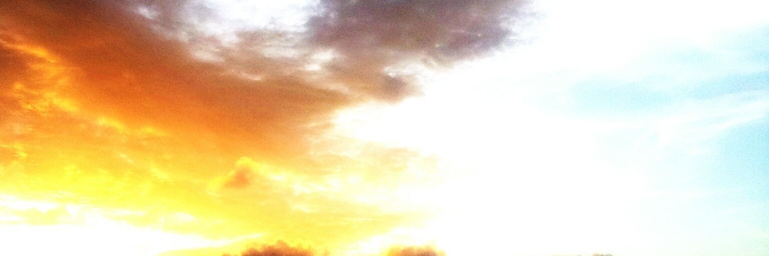TJ2202's profile banner image