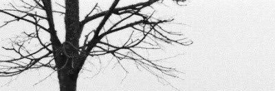 j_4111's profile banner image