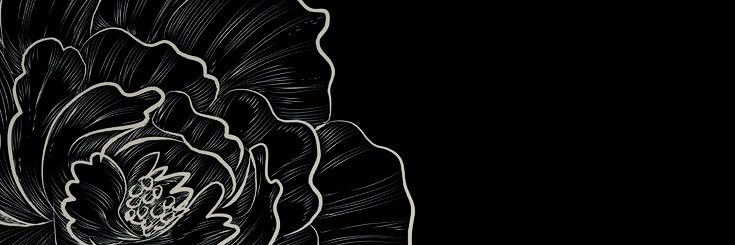 rmora_15's profile banner image