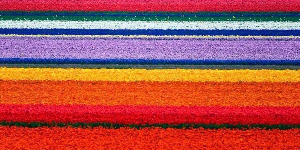 Giuseppe Conte banner