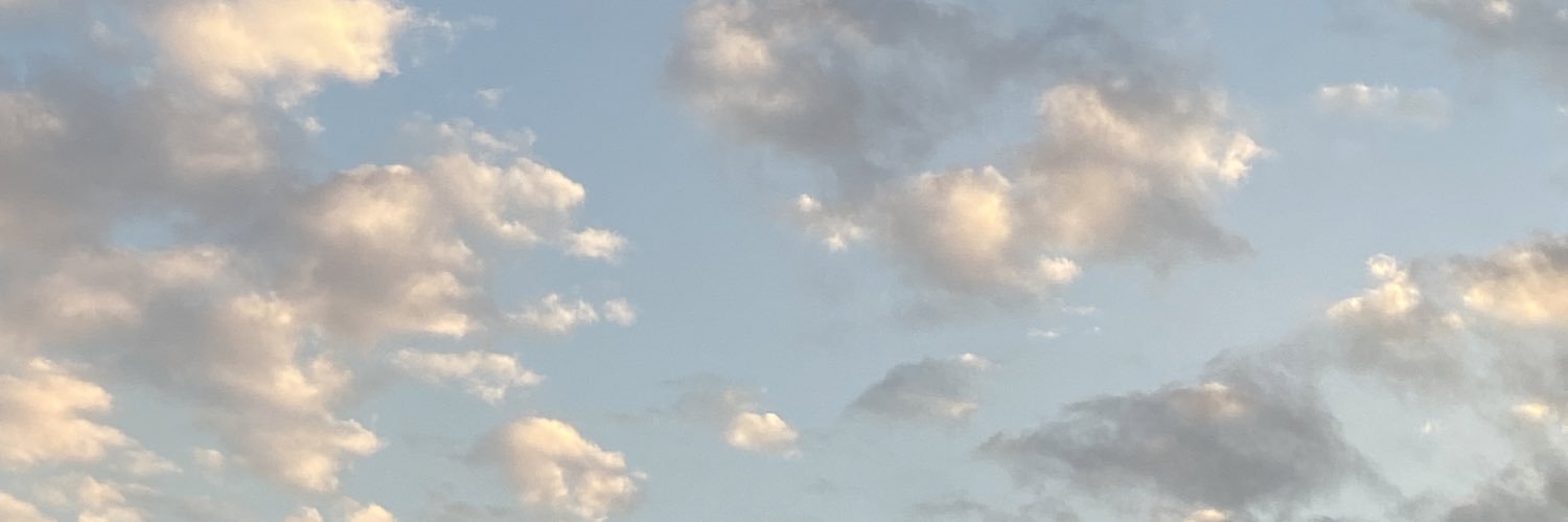 MinuitFroid's profile banner image