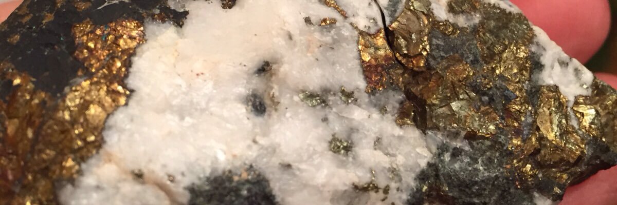 slsl5112022's profile banner image