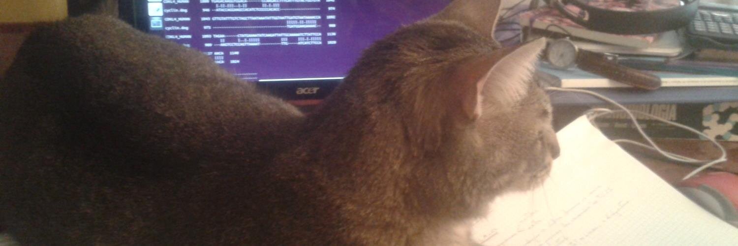 kyo_cat1's profile banner image