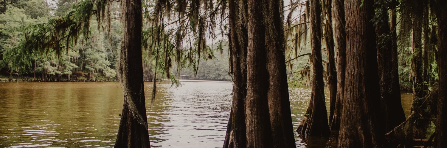 kayleecogbill's profile banner image
