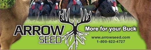 ArrowSeed's profile banner image