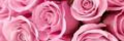 MarijaMara7's profile banner image
