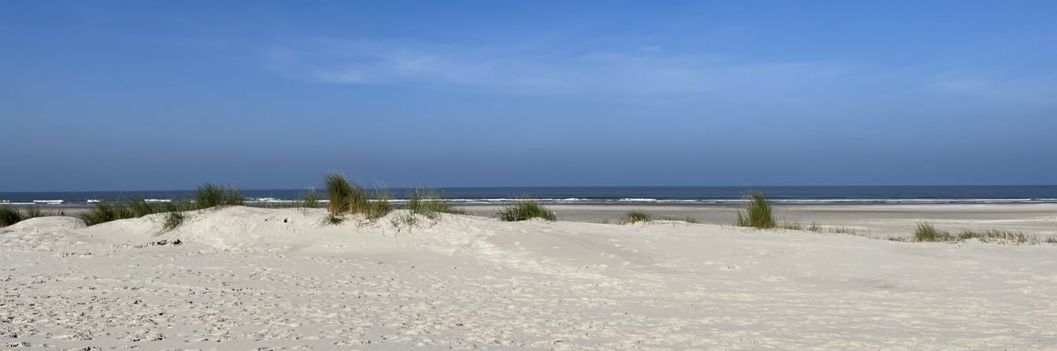 Brigitte van Hilst banner