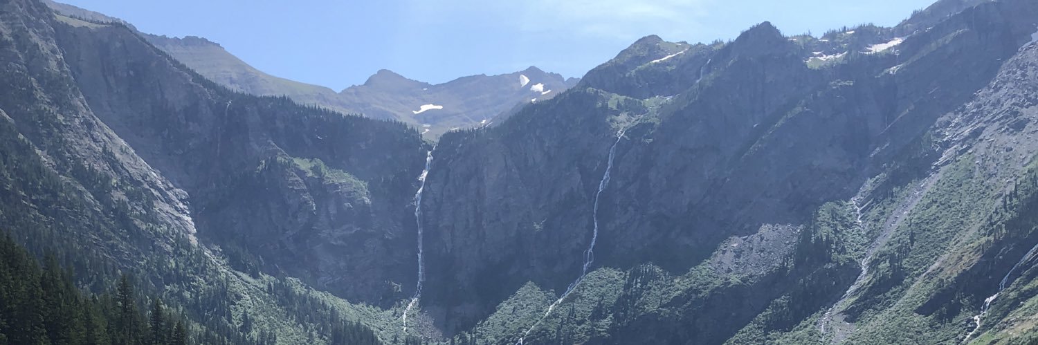 hallerchase's profile banner image