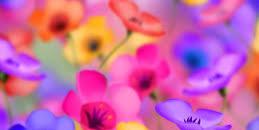 _SaffyBi_'s profile banner image