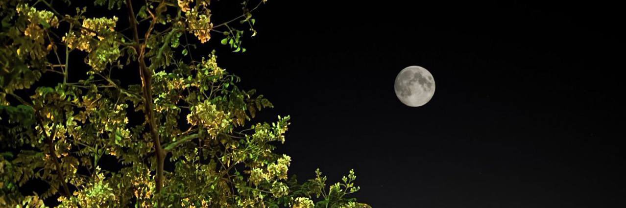 Dhim_pt's profile banner image