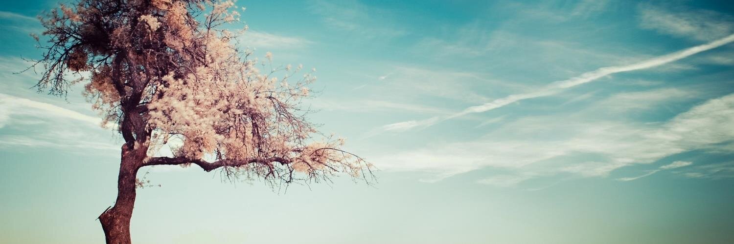 Stefano Pavanello banner