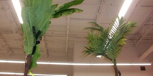 maddygdrs's profile banner image