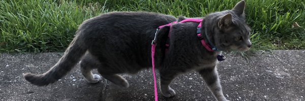 KylePBarber Profile Banner