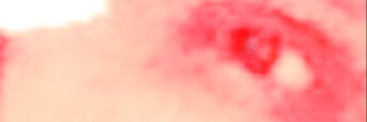 boooooooooth3's profile banner image