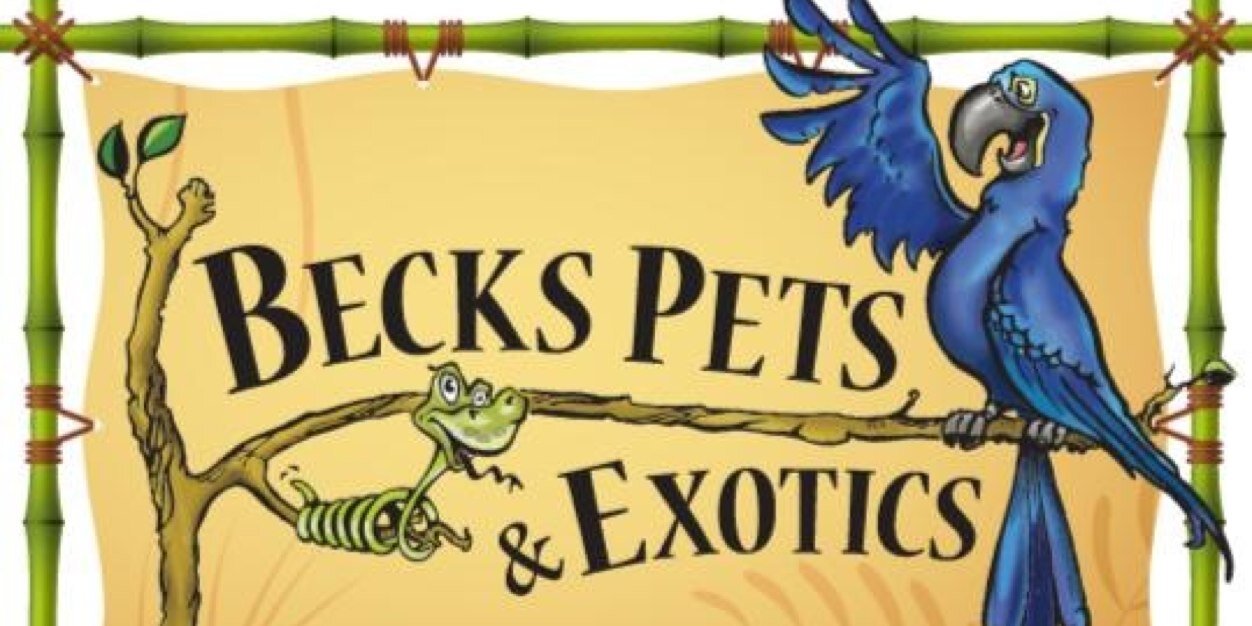 BecksPets's profile banner image