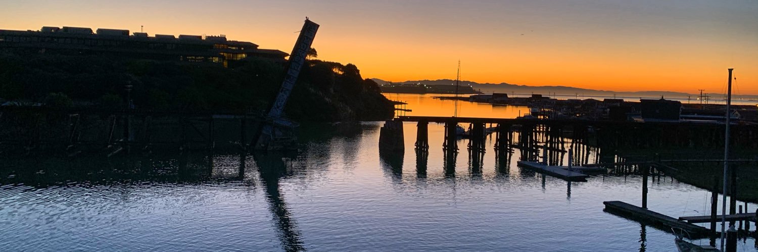 Steve Carrera banner