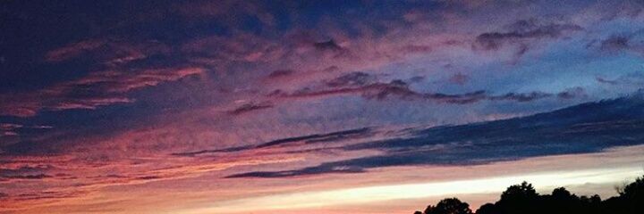 robbielach's profile banner image