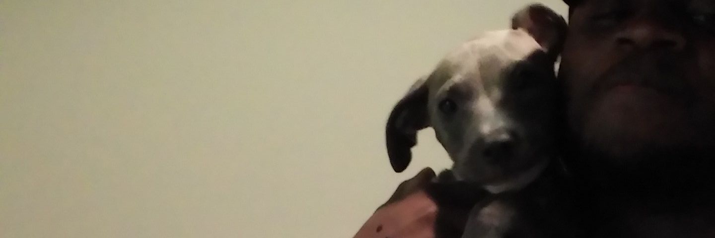 bunmad13's profile banner image