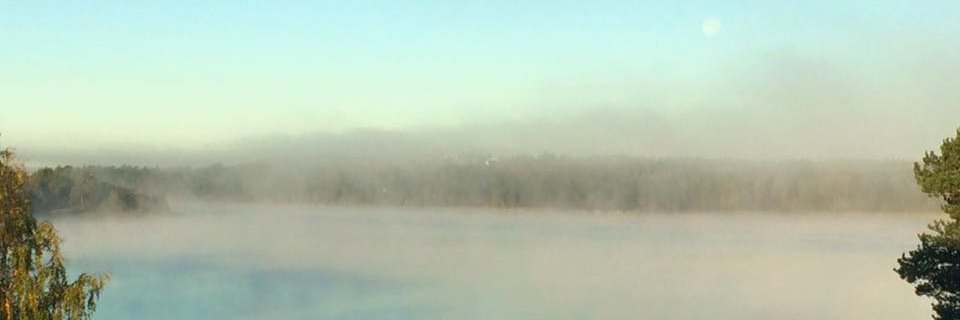 Yvonne Lindholm banner