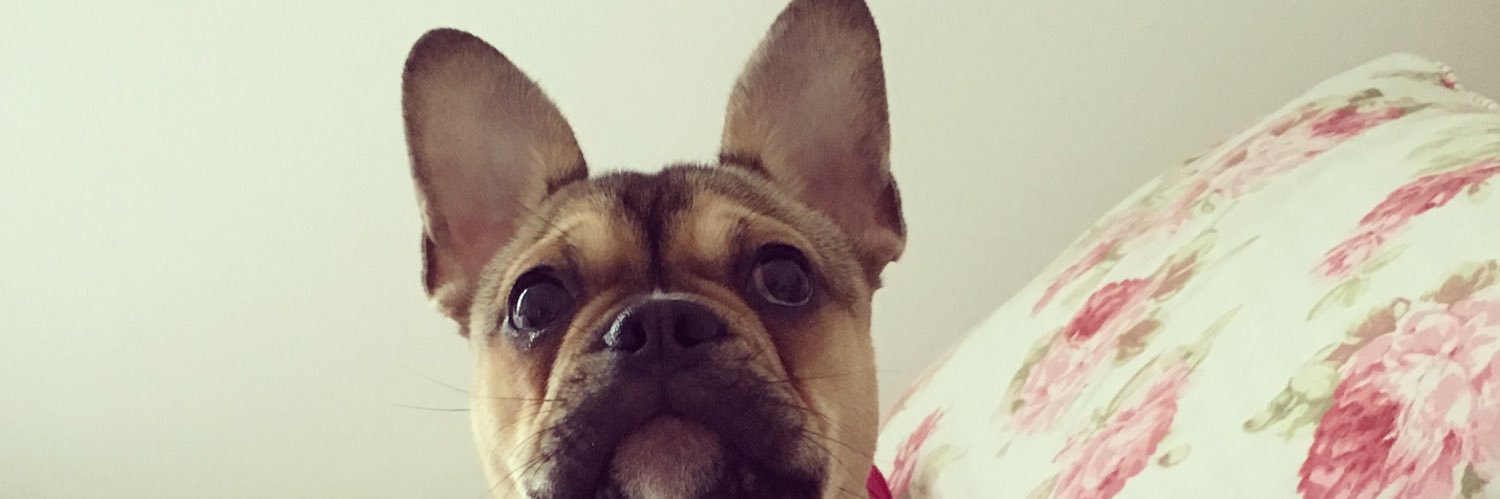 LizzieeHadley's profile banner image