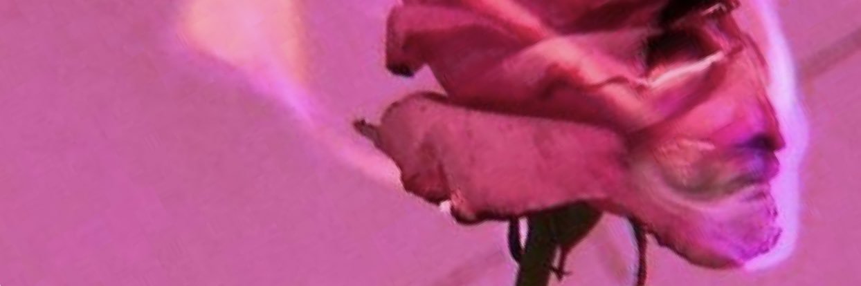 K!K! 🦋's banner