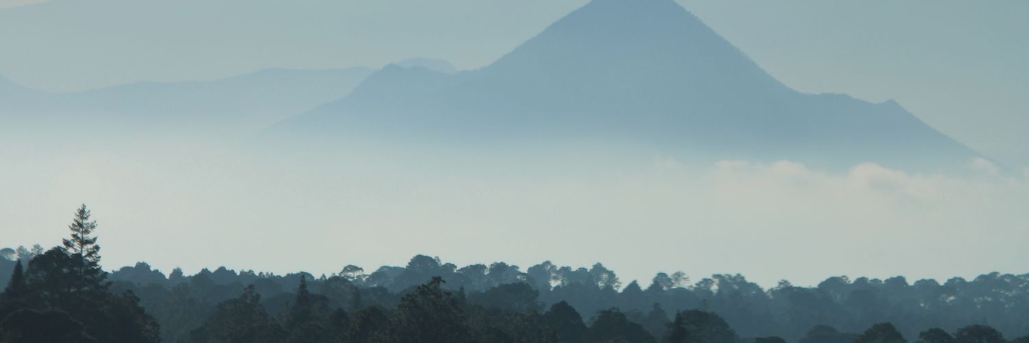 CharisMoco's profile banner image