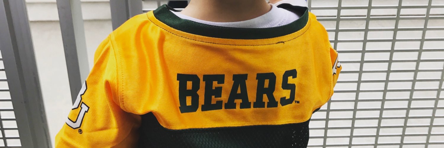 ashbear11's profile banner image