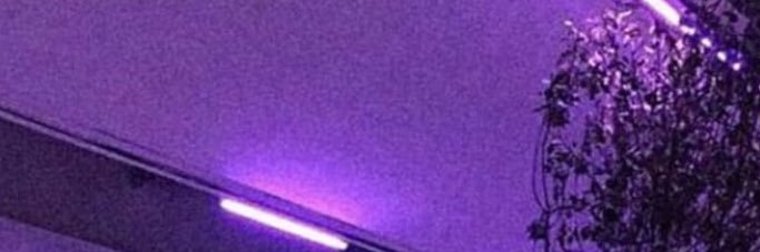 elliejschultz's profile banner image