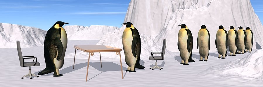 EmploiFranceNet's profile banner image