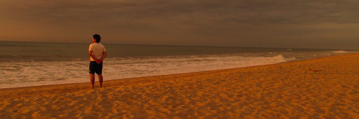 Donesche's profile banner image