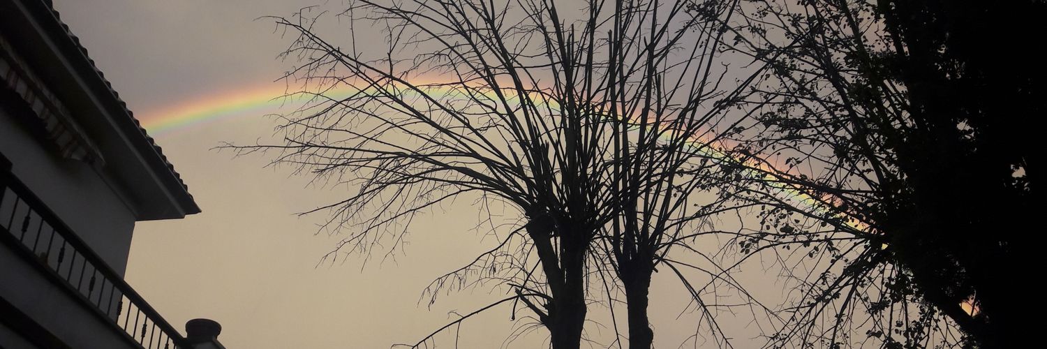 Brunella Bolloli banner